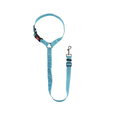 https://cdn.shopify.com/s/files/1/0489/2898/1148/files/main-image-13.jpg?v=1745075276