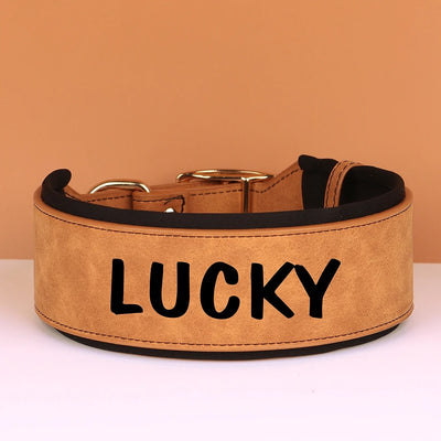 Collier Cuir Personnalisé Renforcé Gros Chien - Gros-Chien.com