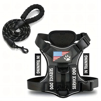 Harnais sans passer par la tête