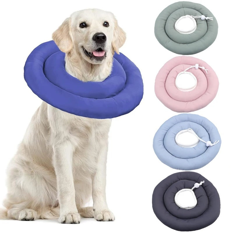 Collerette chien maison