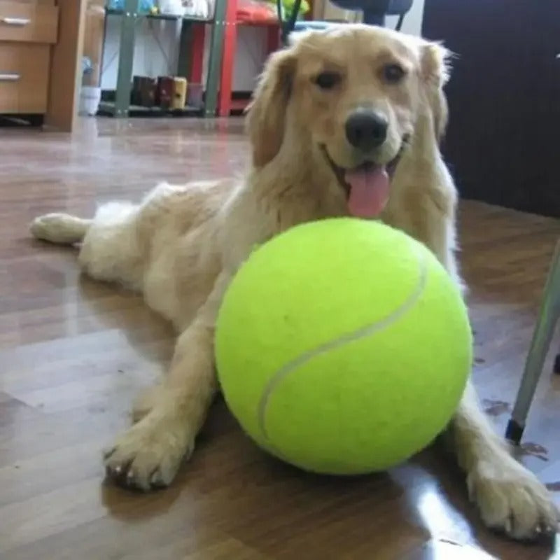 Balle Tennis géante chien