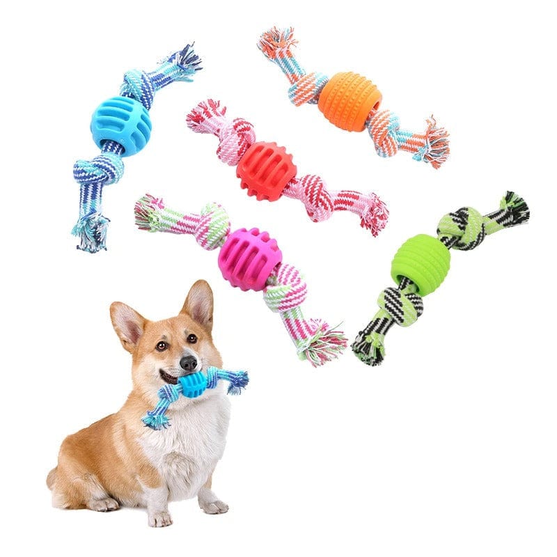 https://cdn.shopify.com/s/files/1/0489/2898/1148/files/main-image-1_96233ddb-e46b-4340-a8cf-d35aea3f9238.jpg?v=1744537112