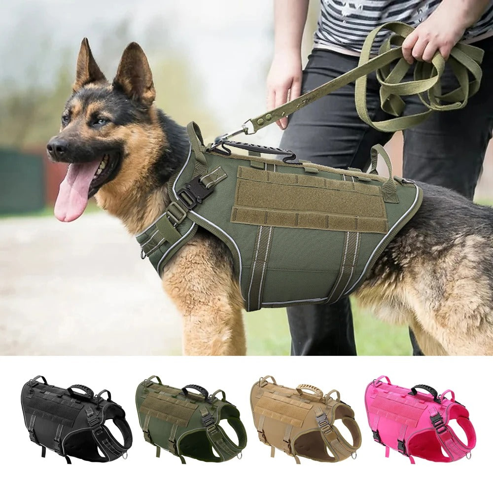Gilet d'entraînement tactique chien - Gros-Chien.com