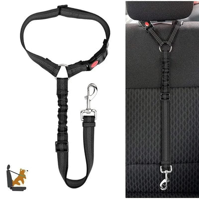 https://cdn.shopify.com/s/files/1/0489/2898/1148/files/main-image-1_e69ec74e-4454-40d0-99f4-306ed97c3e19.jpg?v=1745075296