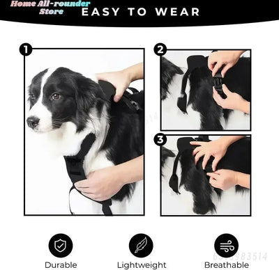 Harnais avec laisse rétractable