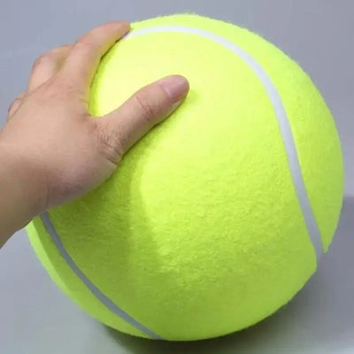 Balle Tennis géante chien