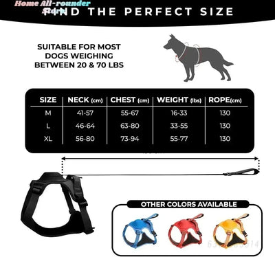 Harnais avec laisse rétractable