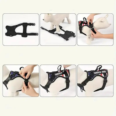 Harnais sans passer par la tête