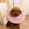 Collerette chien maison