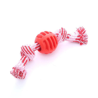 https://cdn.shopify.com/s/files/1/0489/2898/1148/files/main-image-5_fae24757-aeb0-4494-a658-5f8322f0940c.jpg?v=1744537106