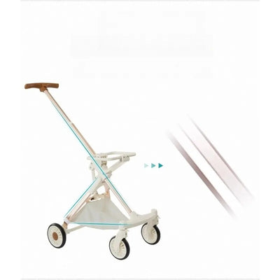 Poussette pour chien de luxe
