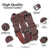 Collier pour chien en cuir véritable - Gros-Chien.com