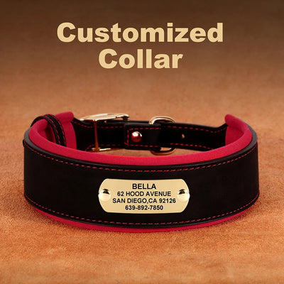 Collier Cuir Personnalisé Renforcé Gros Chien - Gros-Chien.com