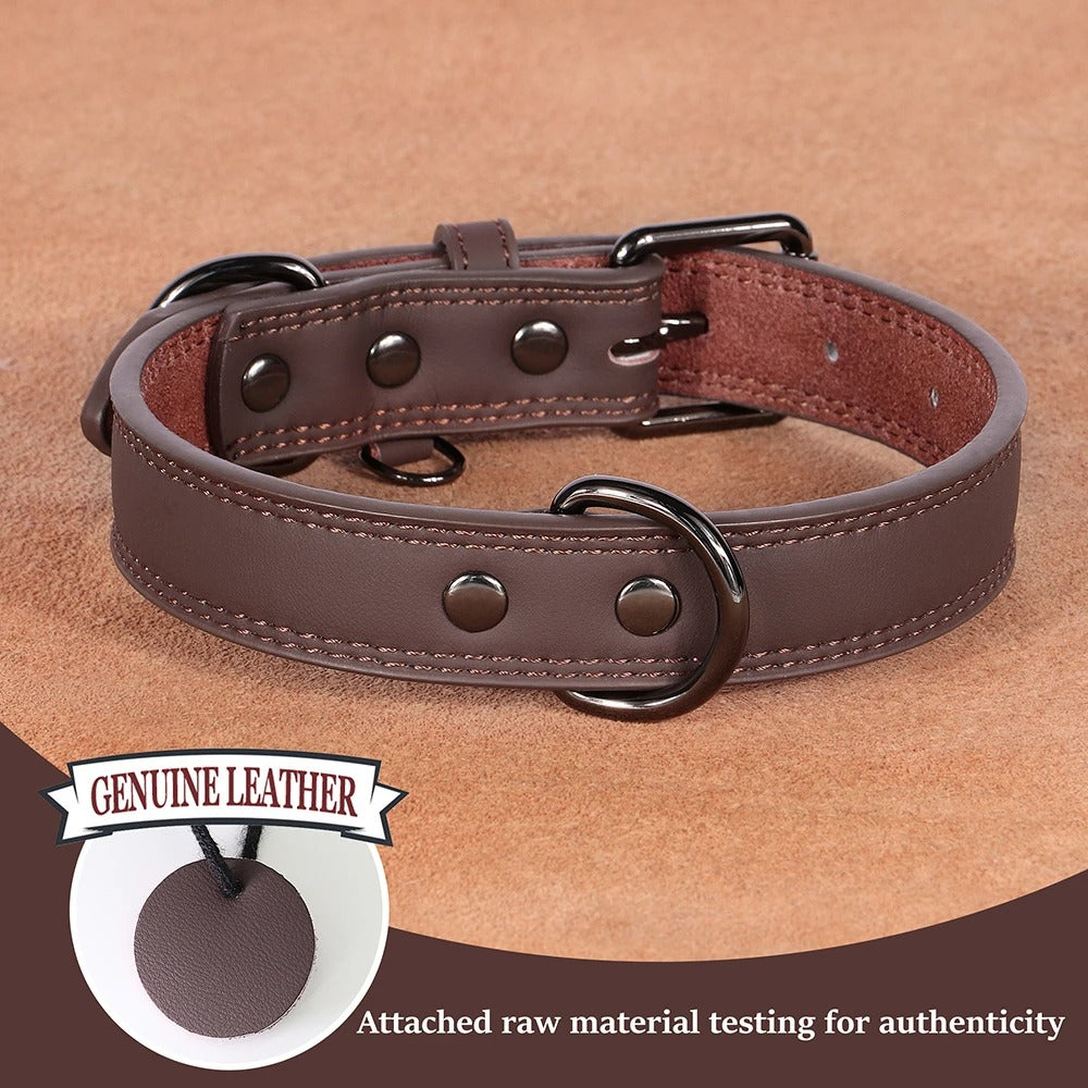 Collier pour chien en cuir véritable