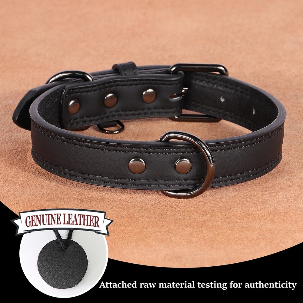 Collier pour chien en cuir véritable noir