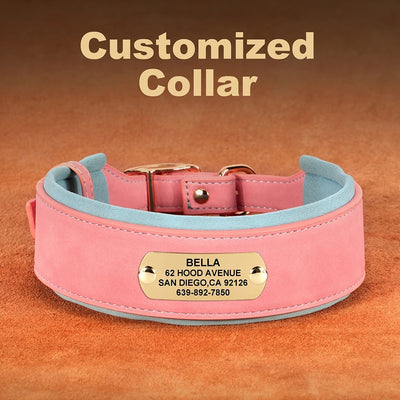 Collier Cuir Personnalisé Renforcé Gros Chien - Gros-Chien.com