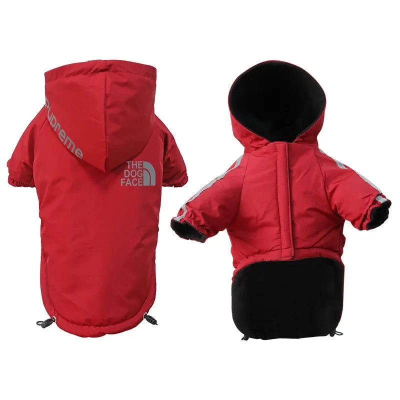https://cdn.shopify.com/s/files/1/0647/9170/7830/files/manteau-a-capuche-chihuahua-xxs-5347926.webp?v=1777923129