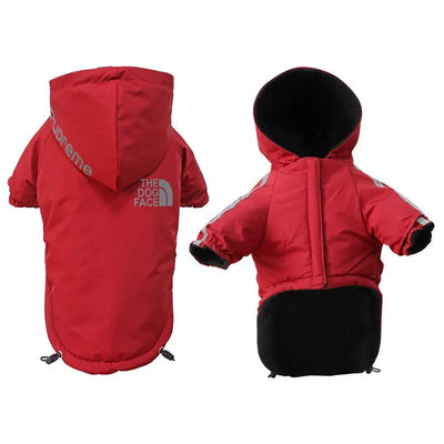 https://cdn.shopify.com/s/files/1/0647/9170/7830/files/manteau-a-capuche-chihuahua-xxs-5347926.webp?v=1777923129