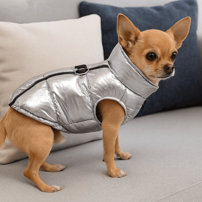 https://cdn.shopify.com/s/files/1/0647/9170/7830/files/manteau-avec-attache-pour-chihuahua-5195750.png?v=1777925118