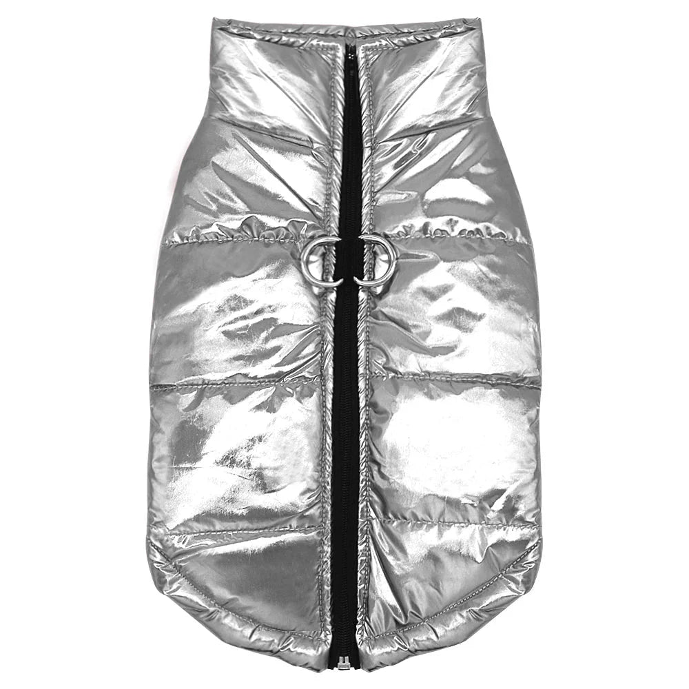 https://cdn.shopify.com/s/files/1/0647/9170/7830/files/manteau-avec-attache-pour-chihuahua-8823419.webp?v=1777925118