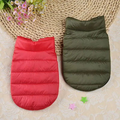 https://cdn.shopify.com/s/files/1/0647/9170/7830/files/manteau-chihuahua-xxs-5059162.webp?v=1777923257