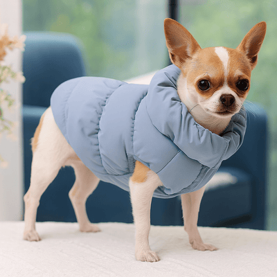 https://cdn.shopify.com/s/files/1/0647/9170/7830/files/manteau-pour-petit-chien-8100836.png?v=1777925234