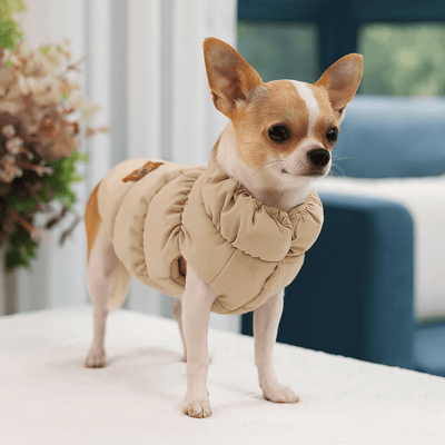 https://cdn.shopify.com/s/files/1/0647/9170/7830/files/manteau-pour-petit-chien-9524256.png?v=1777925235