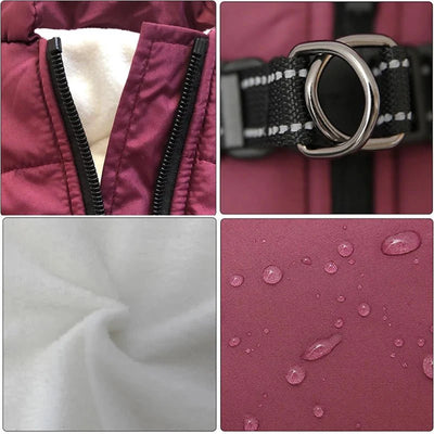 https://cdn.shopify.com/s/files/1/0647/9170/7830/files/manteau-pour-petit-chien-avec-harnais-integre-9083130.webp?v=1777923679