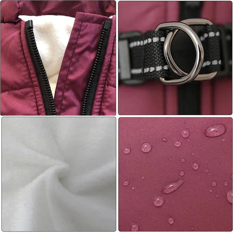 https://cdn.shopify.com/s/files/1/0647/9170/7830/files/manteau-pour-petit-chien-avec-harnais-integre-2101859.webp?v=1777923677