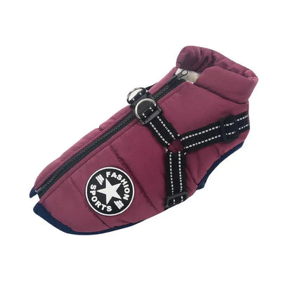 https://cdn.shopify.com/s/files/1/0647/9170/7830/files/manteau-pour-petit-chien-avec-harnais-integre-9658769.webp?v=1777923679