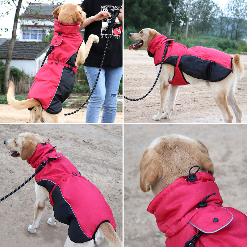 Manteau harnais imperméable réfléchissant pour chien - Gros-Chien.com