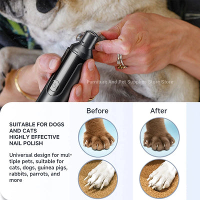 https://cdn.shopify.com/s/files/1/0647/9170/7830/files/meilleur-coupe-ongle-pour-chien-8094631.webp?v=1777923550