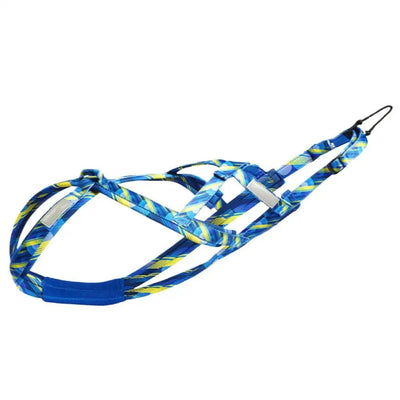 https://cdn.shopify.com/s/files/1/0647/9170/7830/files/meilleur-harnais-canicross-1581274.webp?v=1777924030