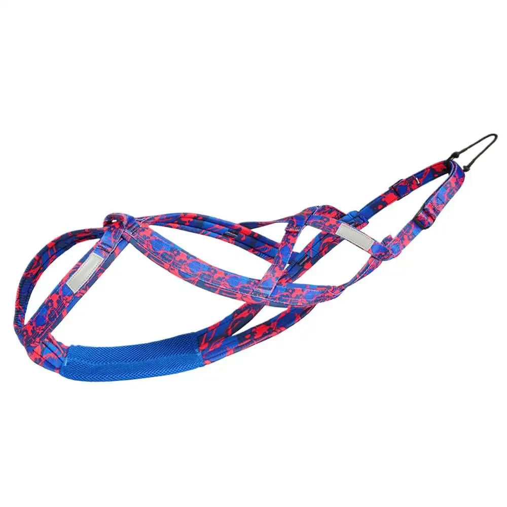 https://cdn.shopify.com/s/files/1/0647/9170/7830/files/meilleur-harnais-canicross-7897278.webp?v=1777924030