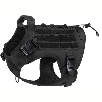 https://cdn.shopify.com/s/files/1/0647/9170/7830/files/meilleur-harnais-chien-anti-traction-2633949.webp?v=1777923551