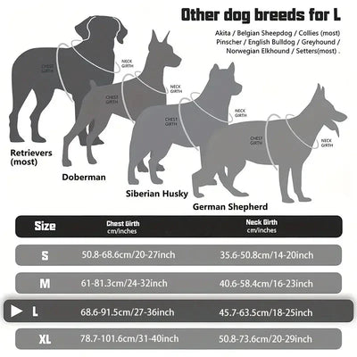 https://cdn.shopify.com/s/files/1/0647/9170/7830/files/meilleur-harnais-chien-anti-traction-5791332.webp?v=1777923550