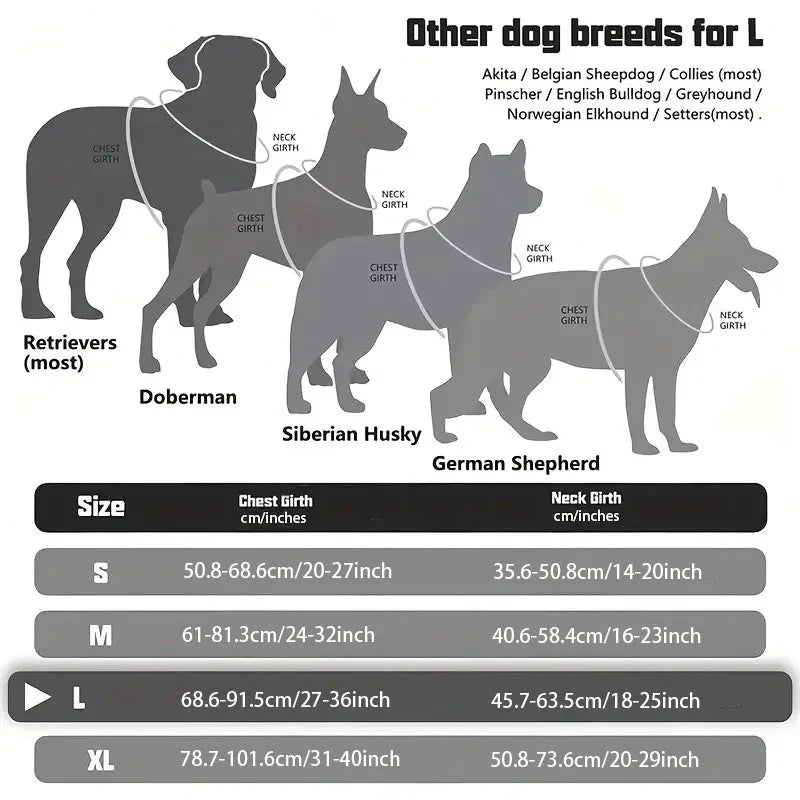 https://cdn.shopify.com/s/files/1/0647/9170/7830/files/meilleur-harnais-chien-anti-traction-2633949.webp?v=1777923551