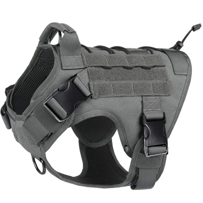 https://cdn.shopify.com/s/files/1/0647/9170/7830/files/meilleur-harnais-chien-anti-traction-9187733.webp?v=1777923550