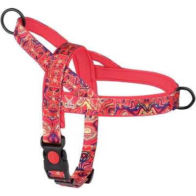 https://cdn.shopify.com/s/files/1/0647/9170/7830/files/meilleur-harnais-chiot-6194989.webp?v=1777923793