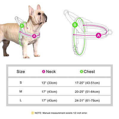 https://cdn.shopify.com/s/files/1/0647/9170/7830/files/meilleur-harnais-chiot-7949533.webp?v=1777923793