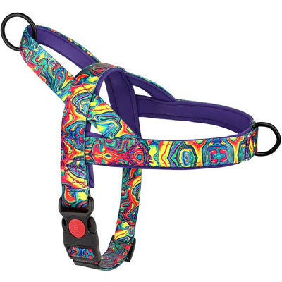 https://cdn.shopify.com/s/files/1/0647/9170/7830/files/meilleur-harnais-chiot-8691041.webp?v=1777923792