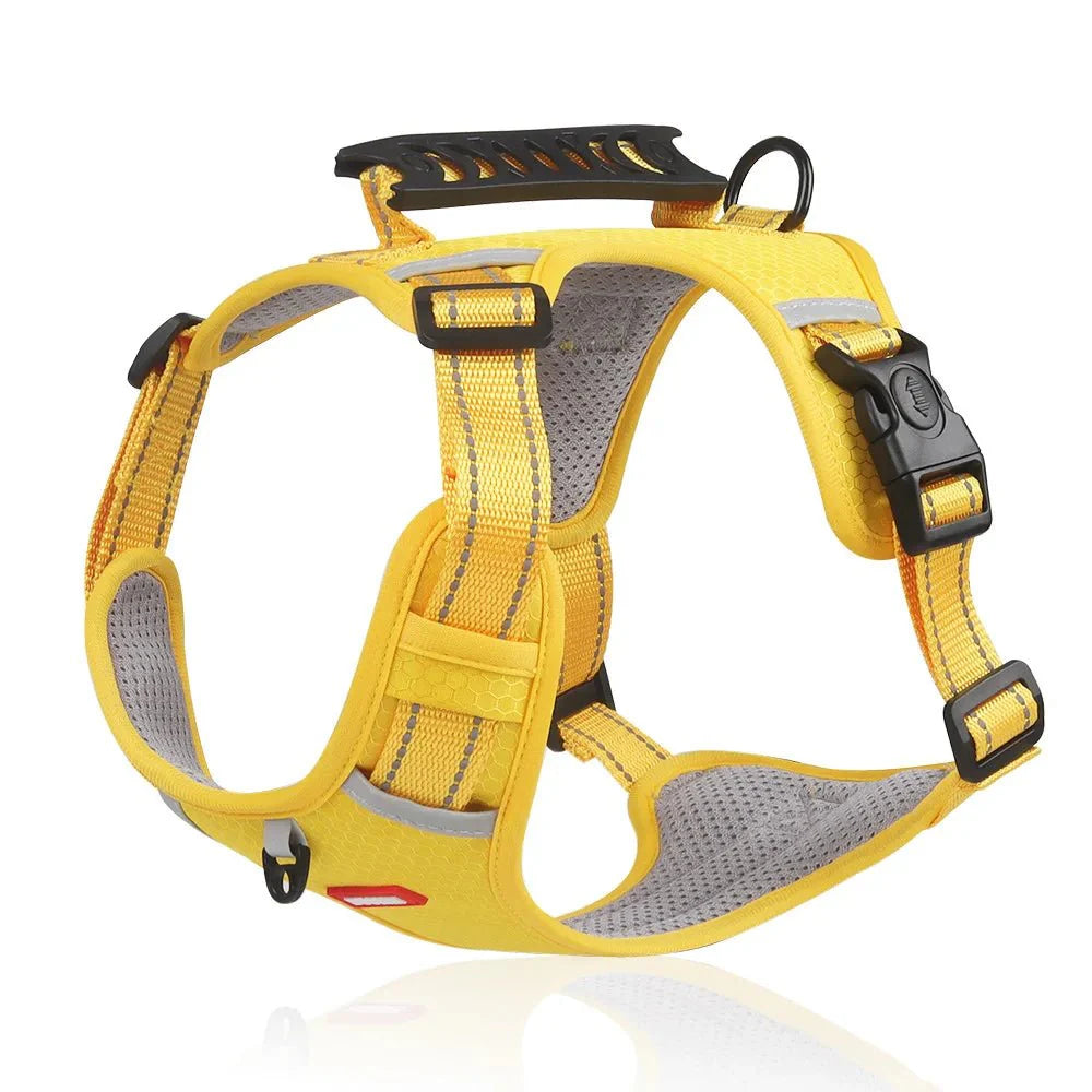 https://cdn.shopify.com/s/files/1/0647/9170/7830/files/meilleur-harnais-pour-gros-chien-8723763.webp?v=1777923427