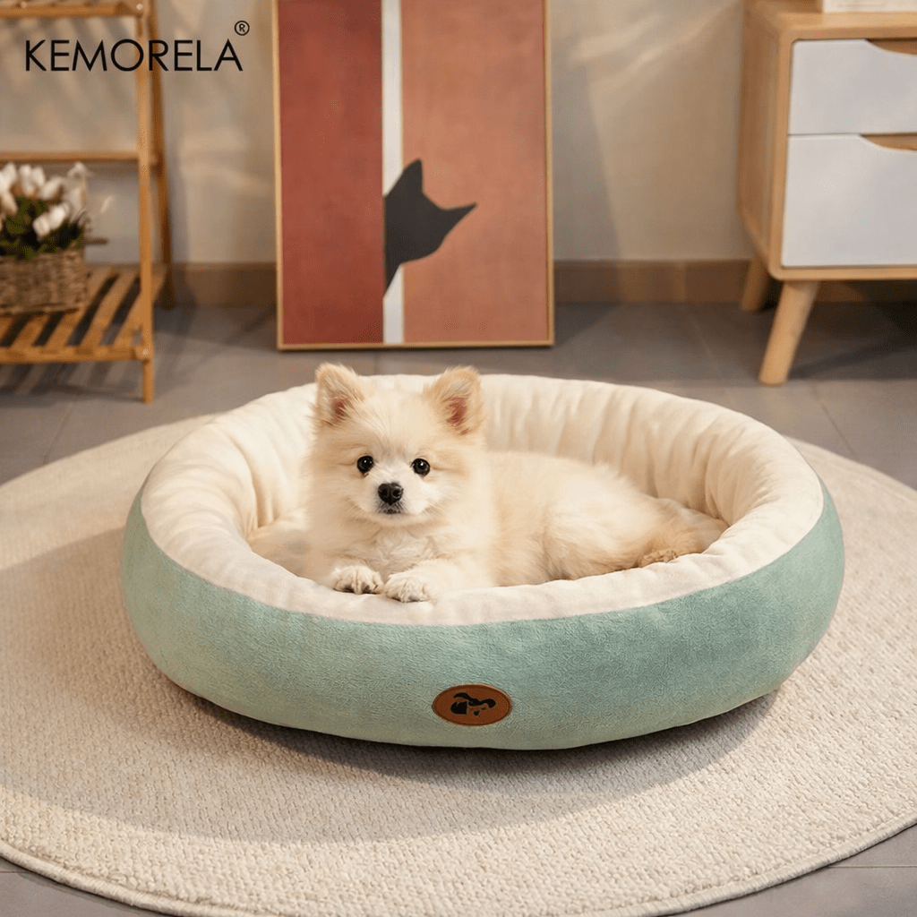 https://cdn.shopify.com/s/files/1/0647/9170/7830/files/meilleur-panier-pour-chien-6206981.png?v=1777923491