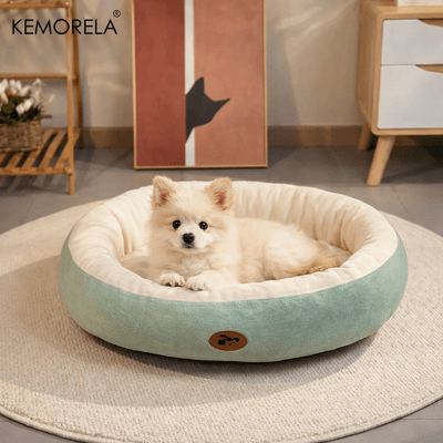 https://cdn.shopify.com/s/files/1/0647/9170/7830/files/meilleur-panier-pour-chien-6206981.png?v=1777923491