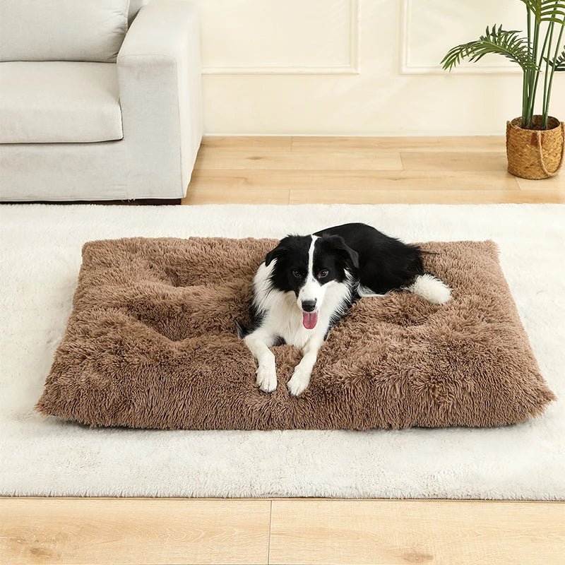 https://cdn.shopify.com/s/files/1/0647/9170/7830/files/meilleur-panier-pour-chien-xxl-7210236.webp?v=1777923316