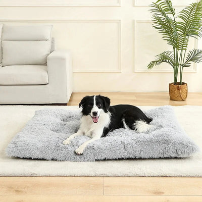 https://cdn.shopify.com/s/files/1/0647/9170/7830/files/meilleur-panier-pour-chien-xxl-9222784.webp?v=1777923315