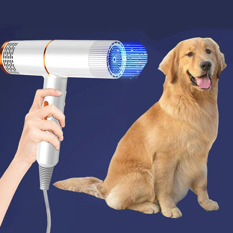https://cdn.shopify.com/s/files/1/0647/9170/7830/files/meilleur-pulseur-pour-chien-8280495.webp?v=1777924516