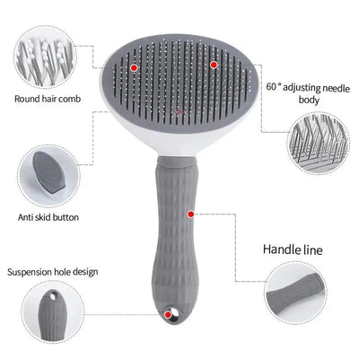 https://cdn.shopify.com/s/files/1/0647/9170/7830/files/meilleure-brosse-pour-chien-poil-court-5822296.webp?v=1777923068