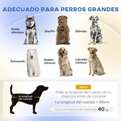 https://cdn.shopify.com/s/files/1/0647/9170/7830/files/mini-canape-pour-chien-5872266.webp?v=1777923072