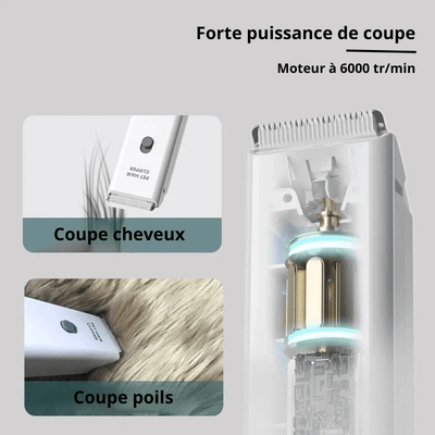 https://cdn.shopify.com/s/files/1/0647/9170/7830/files/mini-tondeuse-pour-chien-7998956.png?v=1777924450